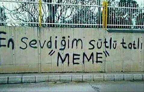En sevdiğiniz sütlü tatlı ne?