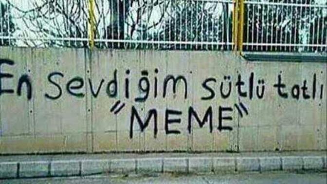 En sevdiğiniz sütlü tatlı ne?