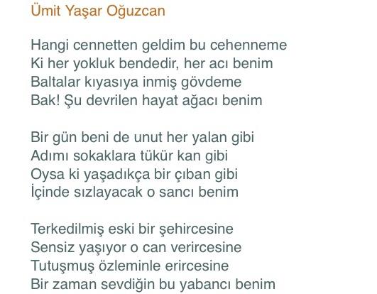 En sevdiğiniz yazar ve şiiri hangisidir?