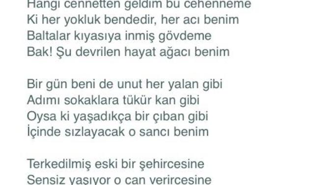 En sevdiğiniz yazar ve şiiri hangisidir?