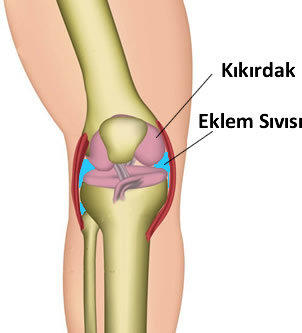Diz kapağı kütlemesi, el bileği kütlemesi ya da el/ayak kütlemesi kireçlenme yapar mı?