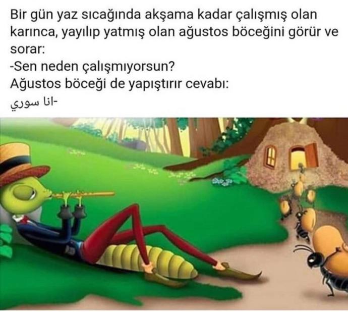 Ağustos Böceği Misin Karınca mı?