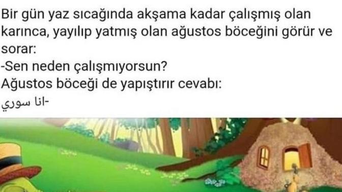 Ağustos Böceği Misin Karınca mı?