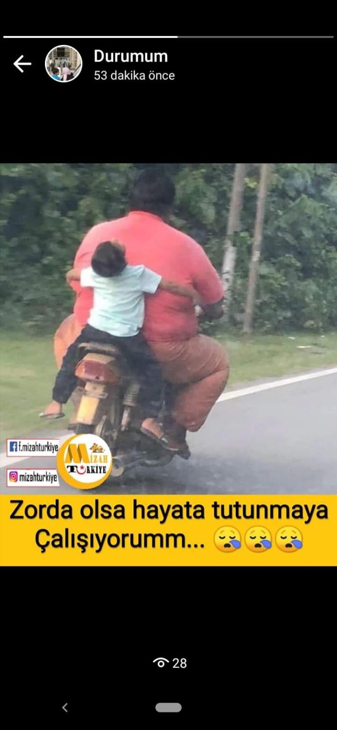 Gif atabilirmisiniz komik veya tuhaf gifler?