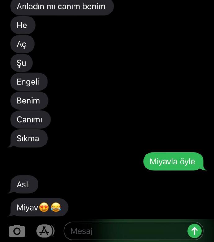 Sevdiğiniz/eşiniz size ”miyavlasana” dese miyavlar mısınız?