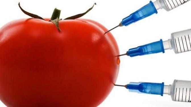 Hormonun faydalarını biliyor muydunuz? Ne sıklıkla hormonlu meyve sebze tüketiyorsunuz?