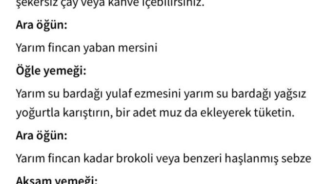 1 Haftada 6-7 Kilo verdiren Diyet! Yulaf diyeti?