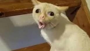 Şu anki modunu bir emoji veya görsel ile anlatır mısın?