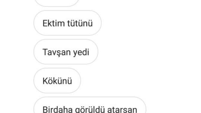 Görüldü attım böyle dedi?