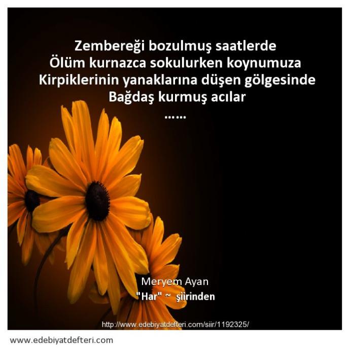 Anlamak mı yoksa anlaşılmak mı zor?