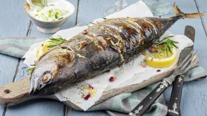 Diyette palamut balığı yenir mi?