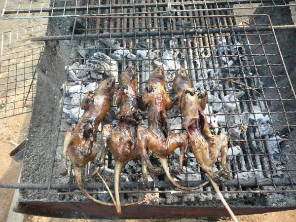 Fare eti yemek ister miydiniz?