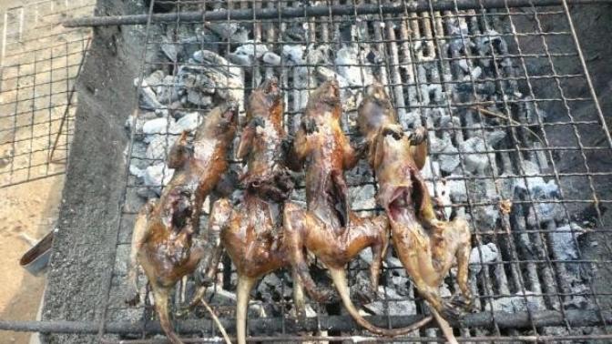 Fare eti yemek ister miydiniz?