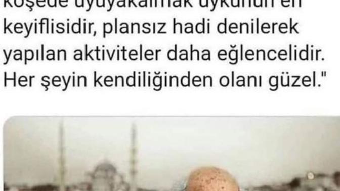 Sizce Ara Güler haklı mı?