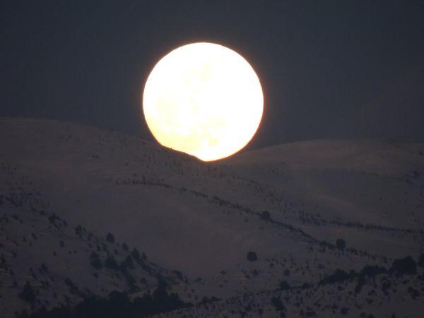Fotoğraf çekmek, resim çizmek ya da müzik gibi sanatlarla uğraşmak gibi bir zevkiniz var mı?