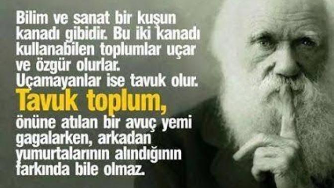 Sanat sizin için ne ifade ediyor?