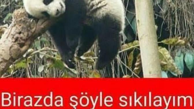 "Çok şey yapasım var ama hiç bir şey yapasım yok"dediğiniz zamanlar oluyor mu?
