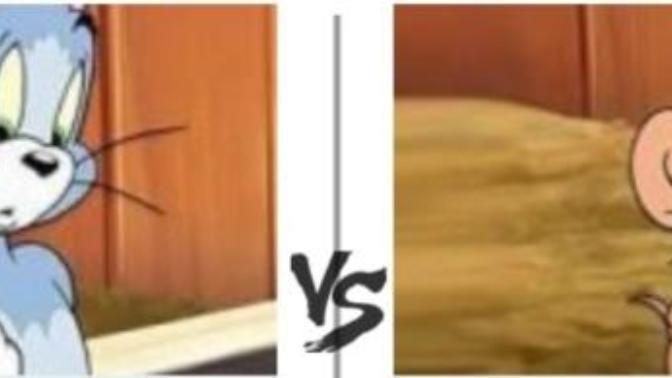 Tom mu? Jerry mi?