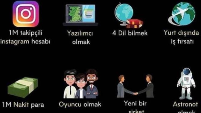 Hangini tercih edersin?