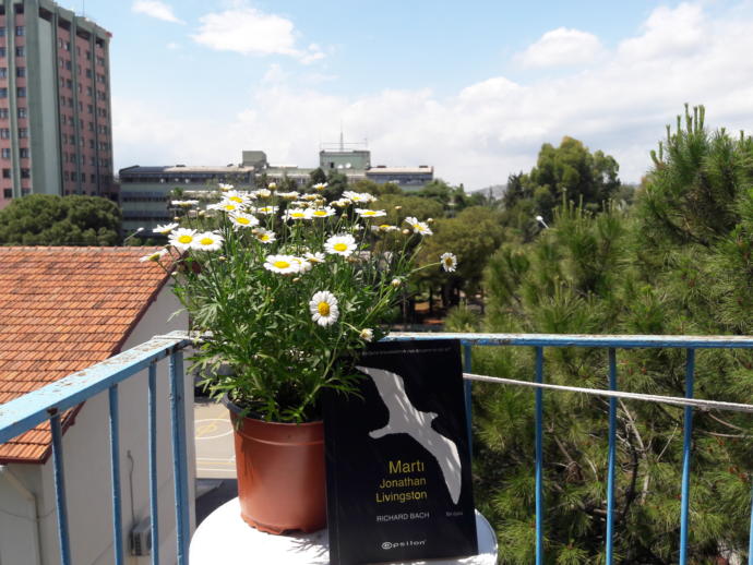Sizin için en anlamlı çiçek hangisidir?