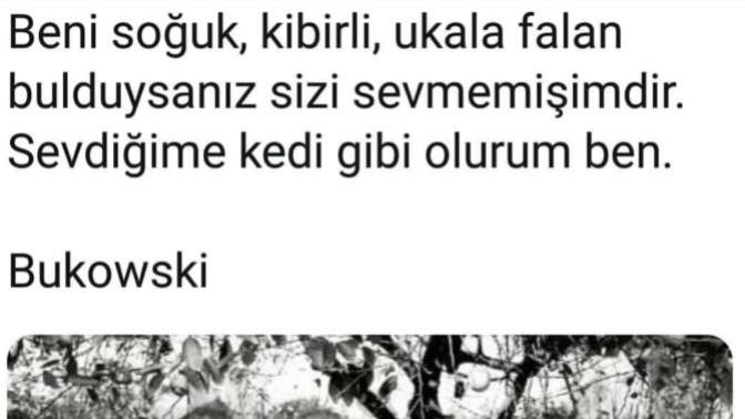 Soğuk musun cana yakın mı?
