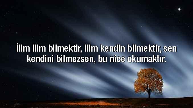 İlim ilim bilmektir, ilim kendin bilmektir. Sen kendini bilmezsen, bu nice okumaktır?