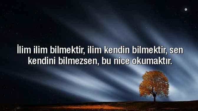 İlim ilim bilmektir, ilim kendin bilmektir. Sen kendini bilmezsen, bu nice okumaktır?
