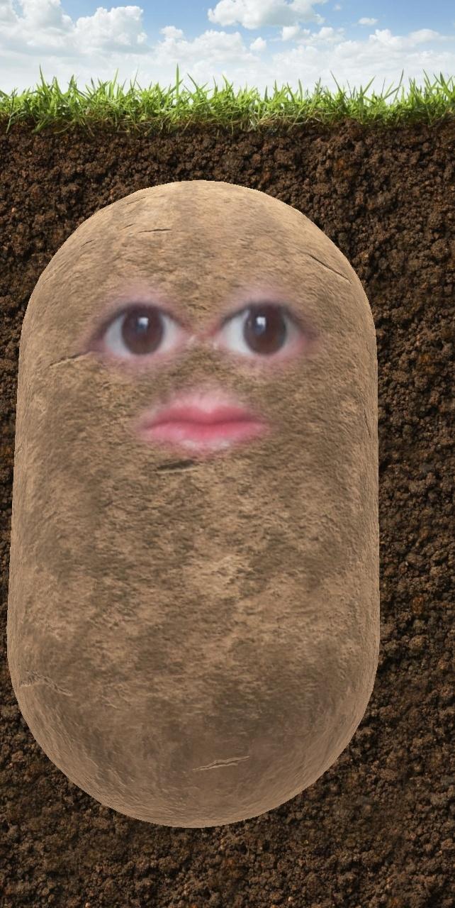 Patates mi domates mi?