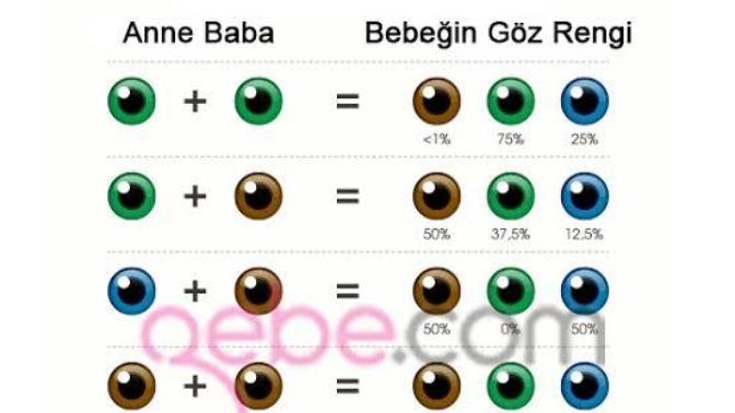 Bebeklerde göz rengi 💕 ?