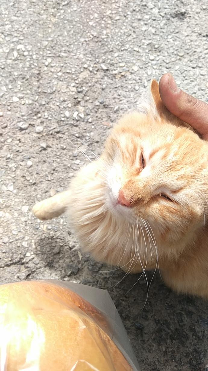 Huzur bulduğunuz şeyler neler?