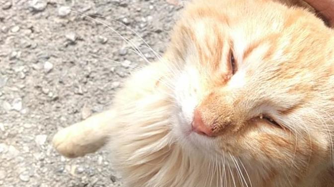 Huzur bulduğunuz şeyler neler?