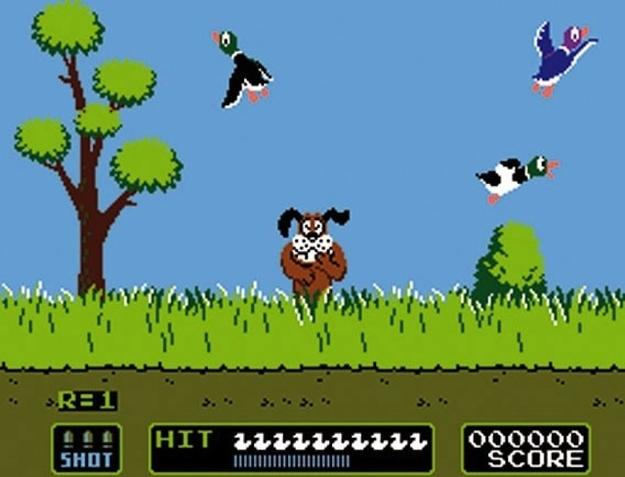 Duck Hunt