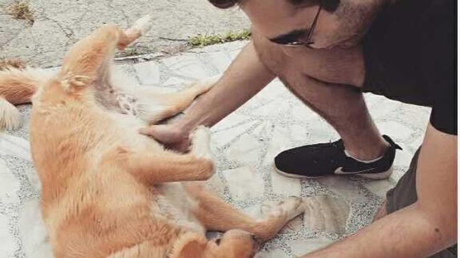 Hayvanları sever misiniz?