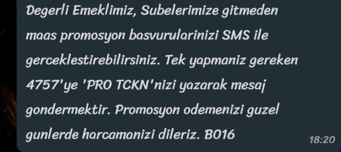 Pro tckn nedir arkadaşlar?