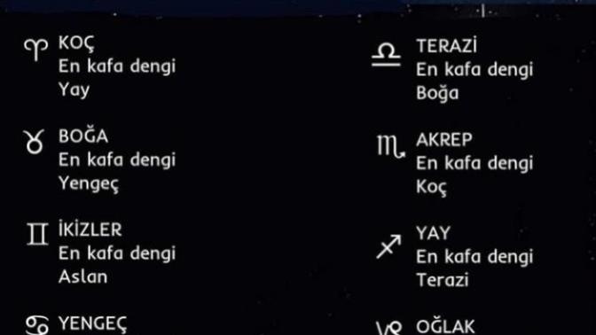 En iyi anlaştığın burç hangisi imiş?