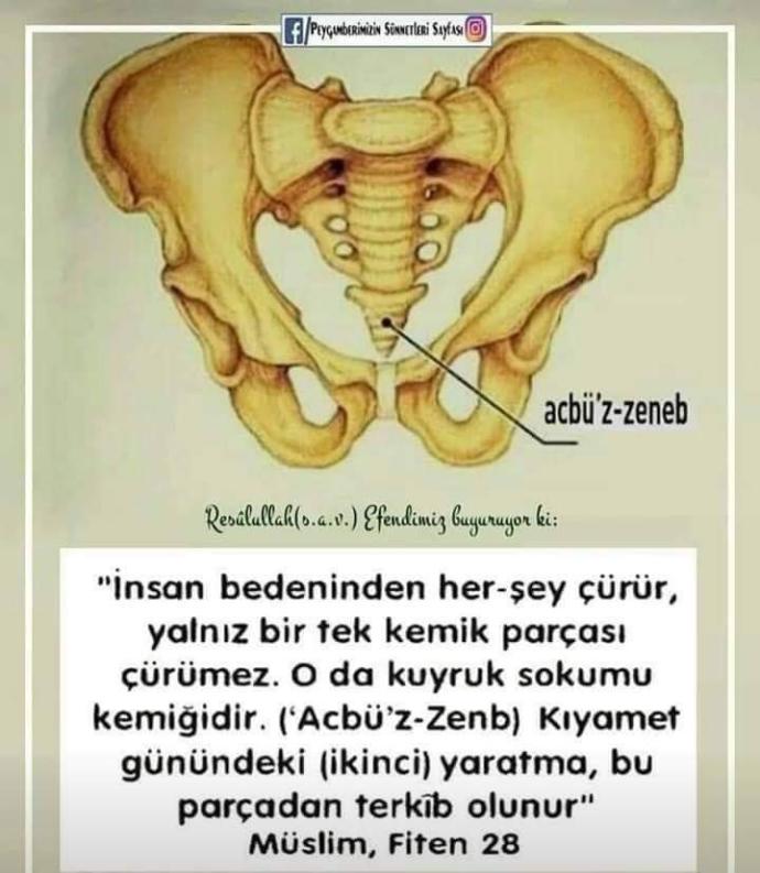 Yeniden yaratılış bilimsel olarak kanıtlanmadı mı?