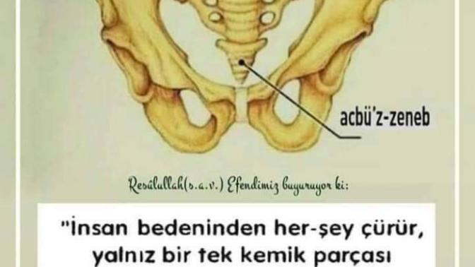 Yeniden yaratılış bilimsel olarak kanıtlanmadı mı?