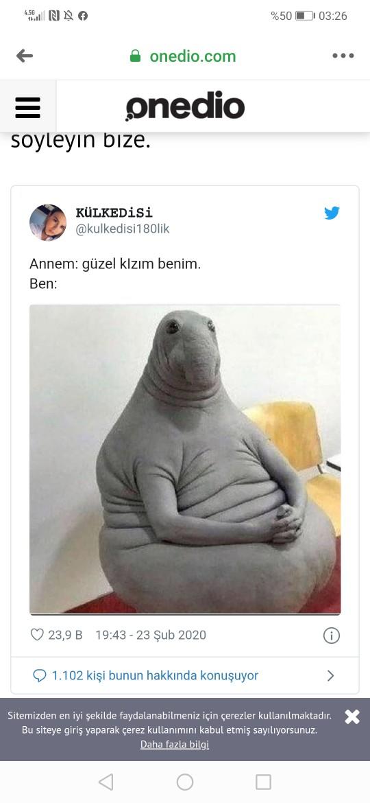 Rica etsem ne yaptığınızı öğrenebilir miyim?