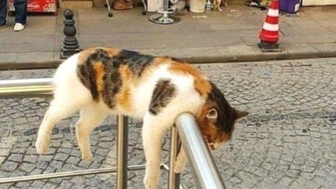 Gün içinde nasıl enerjik olabilirim?