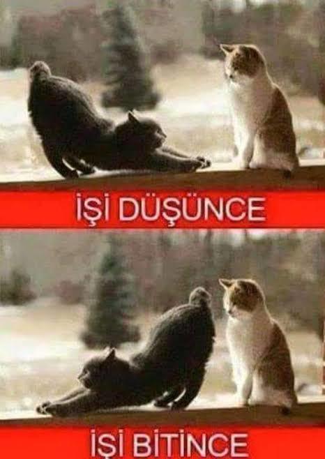 Günümüz ilişkilerini tek kelimeyle özetler misiniz?