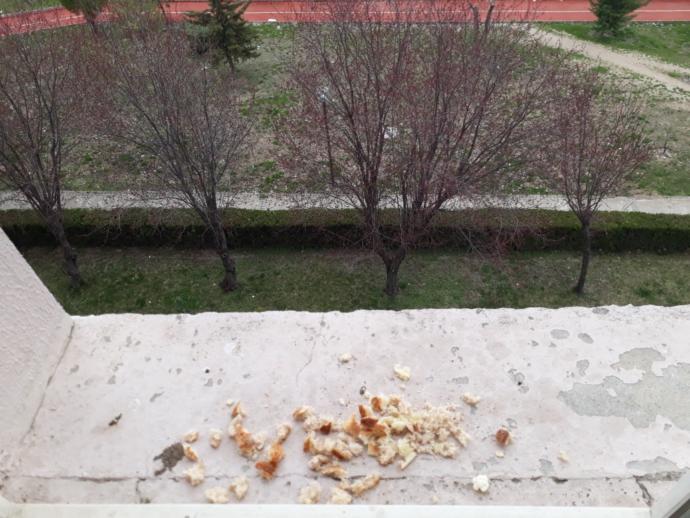 Cam kenarına ekmek kırıntısı bırakıyor musunuz?
