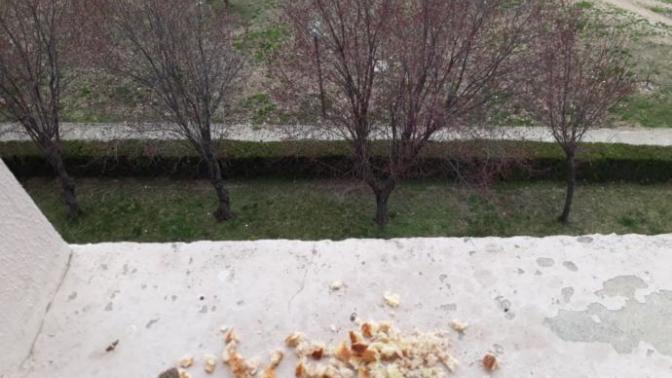 Cam kenarına ekmek kırıntısı bırakıyor musunuz?