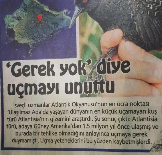Üşengeçlik seviyeniz ne durumda?