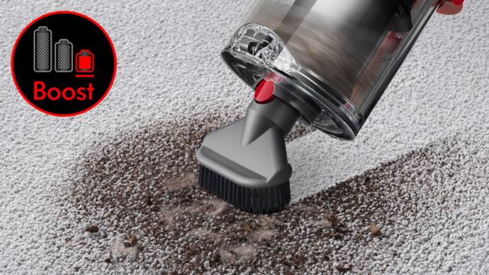 Dyson V11
