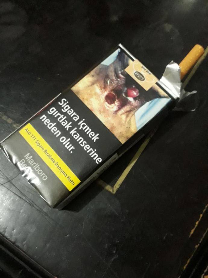 Yanmayalım mı ertan?