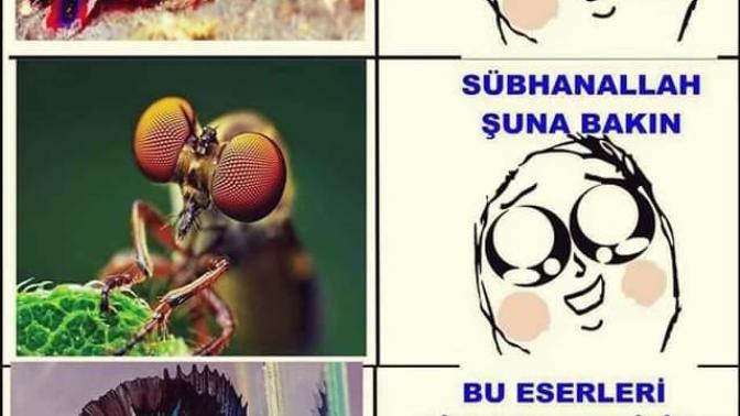 Bu fotoğraf hakkında ne düşünüyorsunuz?
