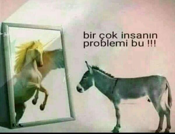 Bazı insanların gerçek problemi bu fotoğraf mi temsili?