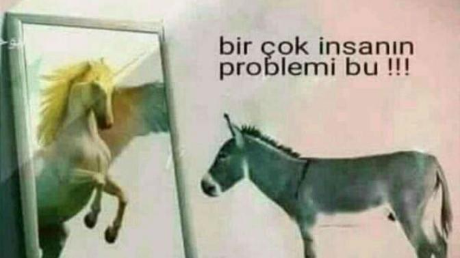 Bazı insanların gerçek problemi bu fotoğraf mi temsili?