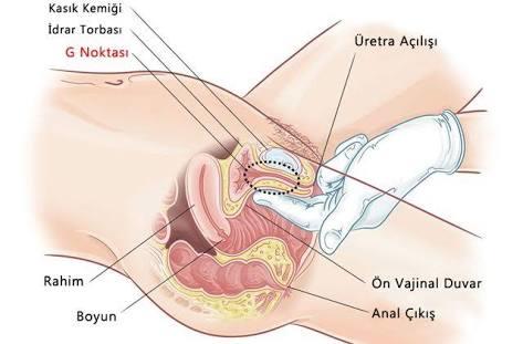 Hiç orgazm olmadım nasıl olunur?