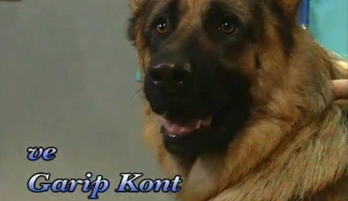Arka Sokaklardaki Garip Kont’dan daha kötü bir oyuncu dediğiniz oyuncular var mı?